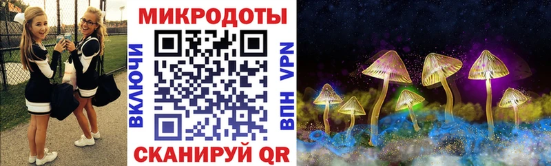 Купить где  Вольск  Галлюциногенные грибы прущие грибы 